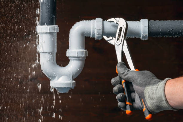 Professional Emergency Plumber technician working in Yalaha, FL
